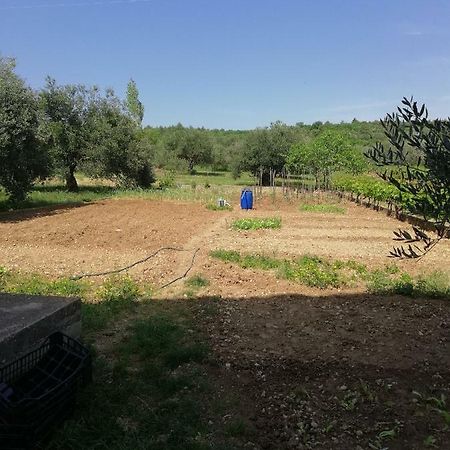 Apartmani Sladic Skradin Luaran gambar