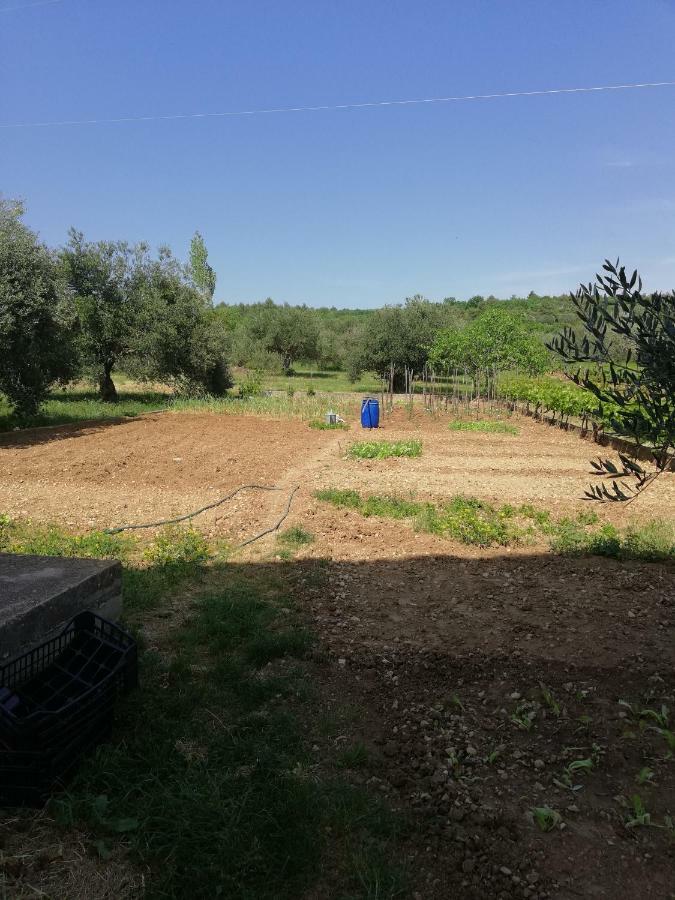 Apartmani Sladic Skradin Luaran gambar